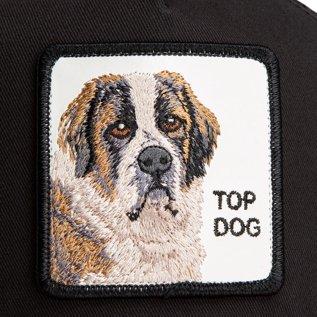 Cap The Top Dog