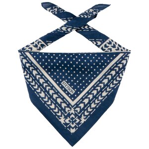 Bandana Abstract